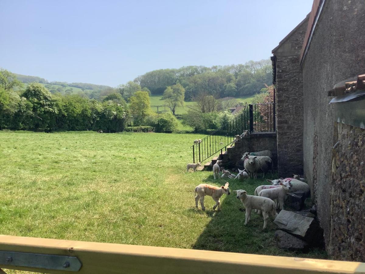 チェダー Hayloftヴィラ エクステリア 写真